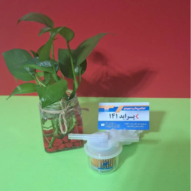 صافی بنزین کاربراتور اصل فرانسه