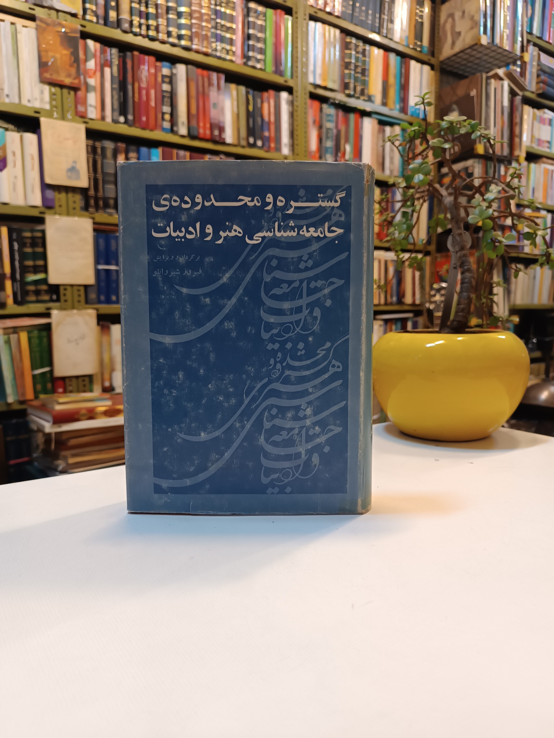 گستره و محدوده جامعه شناسی هنر و ادبیات شیروانلو