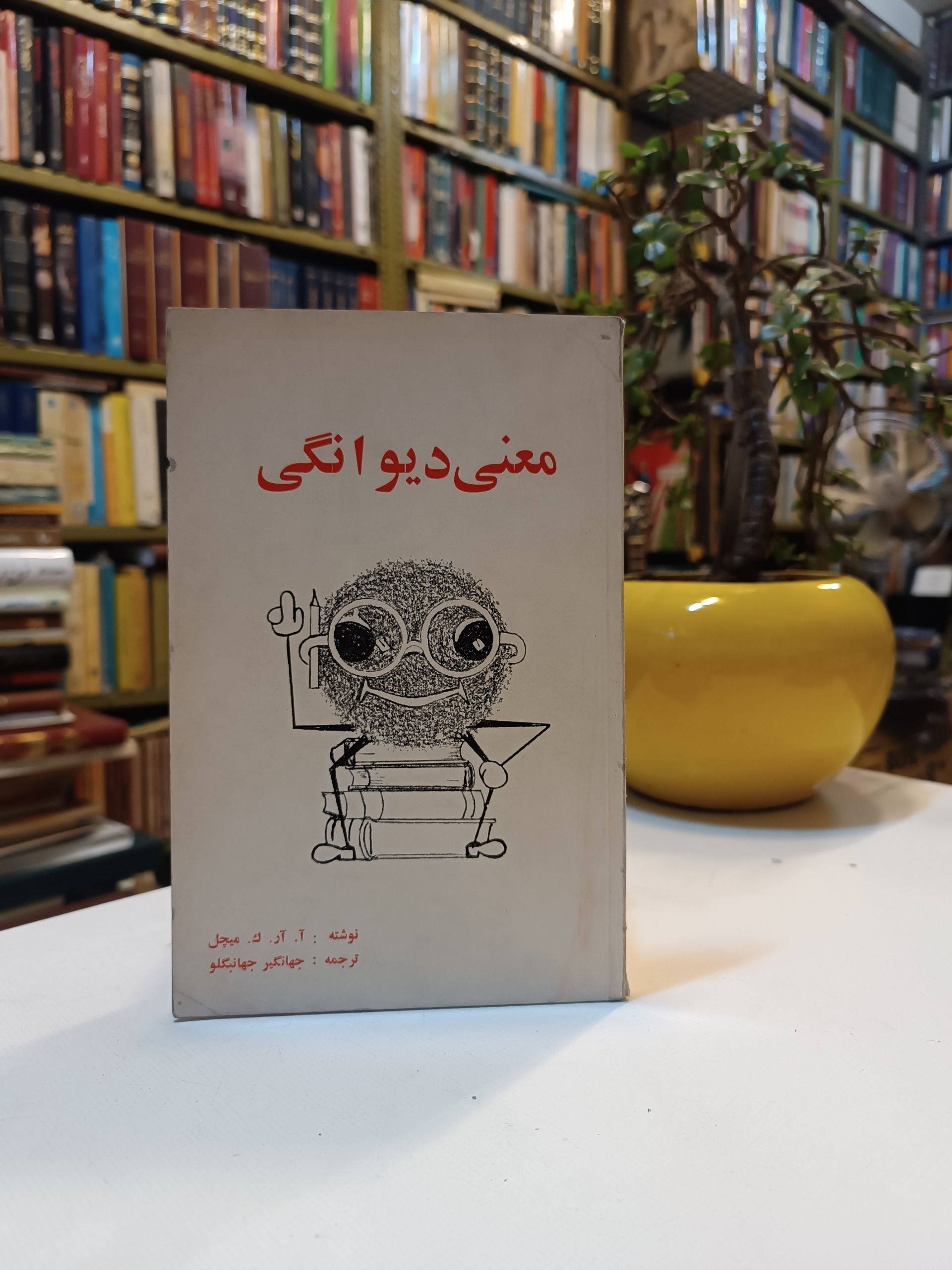 معنی دیوانگی میچل جهانگیر جهانبیگلو