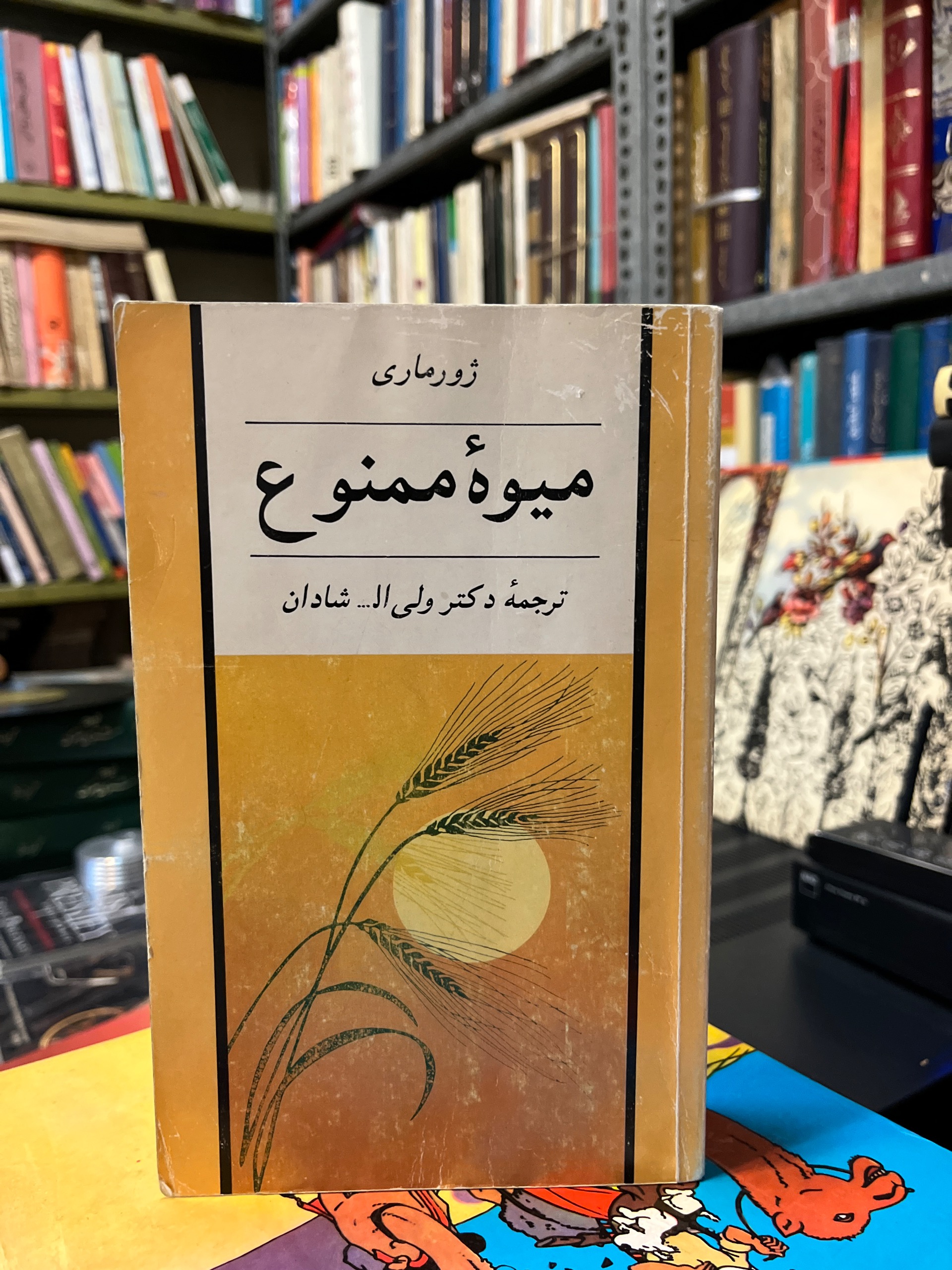 میوه ممنوع ژورماری ولی الله شادان