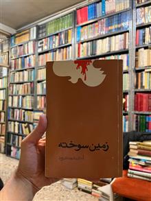 زمین
