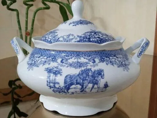 سوپ خوری یا آجیل خوری ابی چینی نو