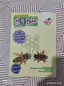 پرسش