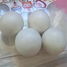 سنگ