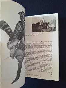 Tchaïkovski
