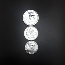 ست