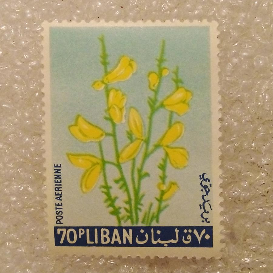 تمبر لبنان 1960 قدیمی گل (98)2
