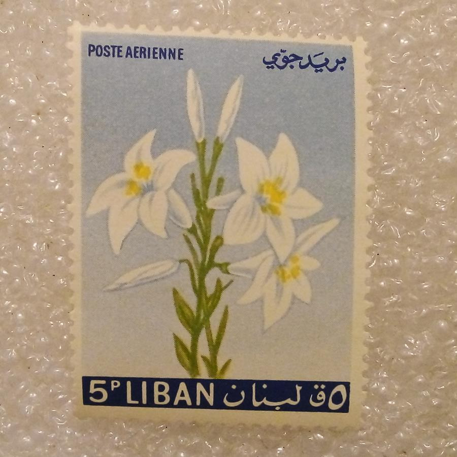 تمبر لبنان 1960 قدیمی گل (98)2