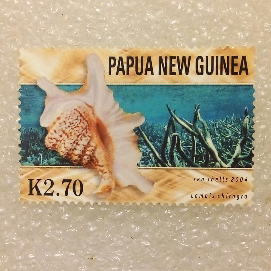 تمبر گینه نو پاپوا 2004 باارزش صدف دریایی (98)3