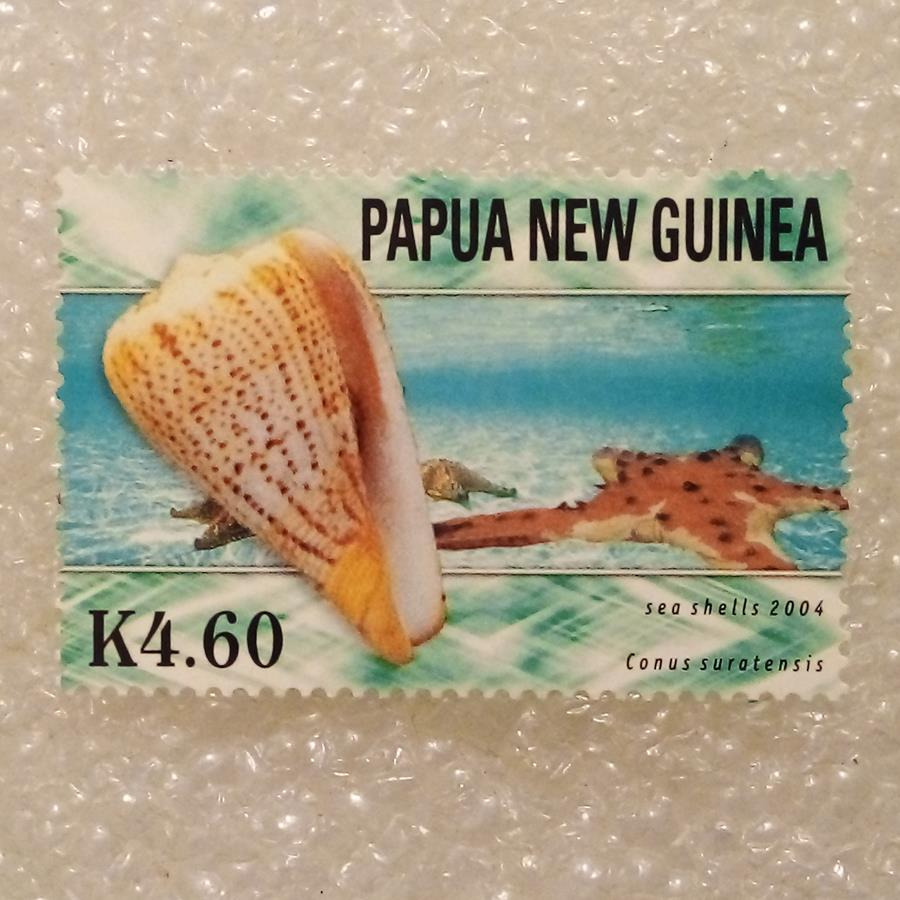تمبر گینه نو پاپوا 2004 باارزش صدف دریایی (98)3