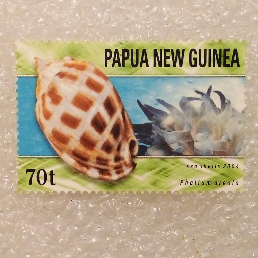 تمبر گینه نو پاپوا 2004 باارزش صدف دریایی (98)3
