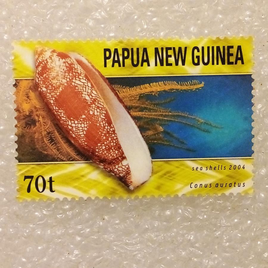 تمبر گینه نو پاپوا 2004 باارزش صدف دریایی (98)3