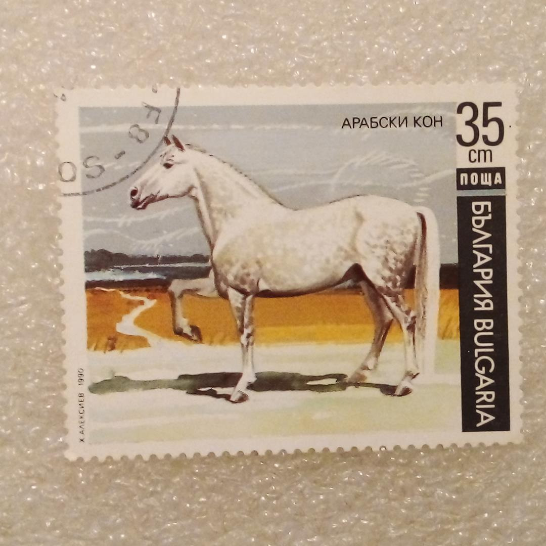 تمبر بلغارستان 1990 اسب عربی گمرکی (99)0