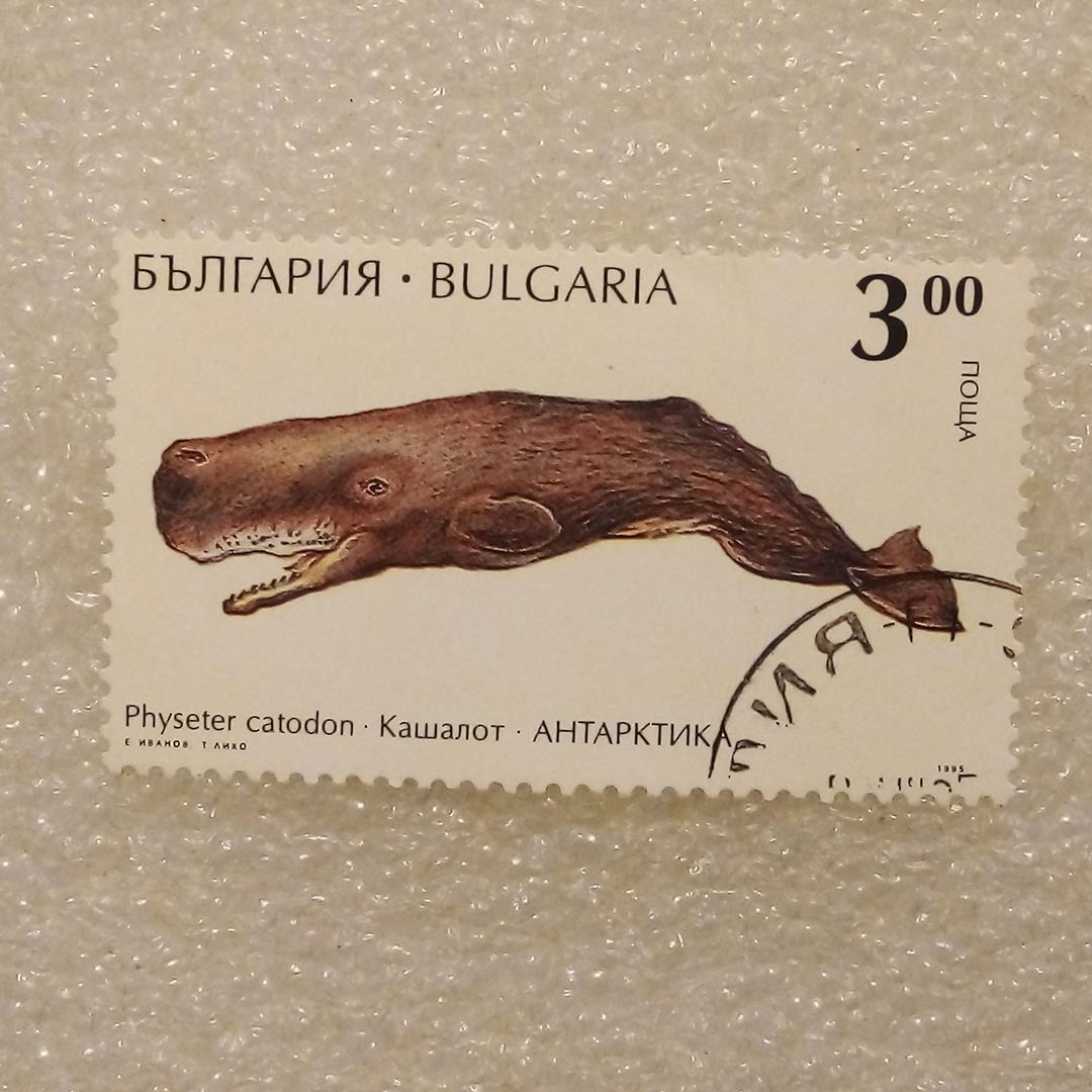 تمبر بلغارستان 1990 نهنگ انبر گمرکی (99)0