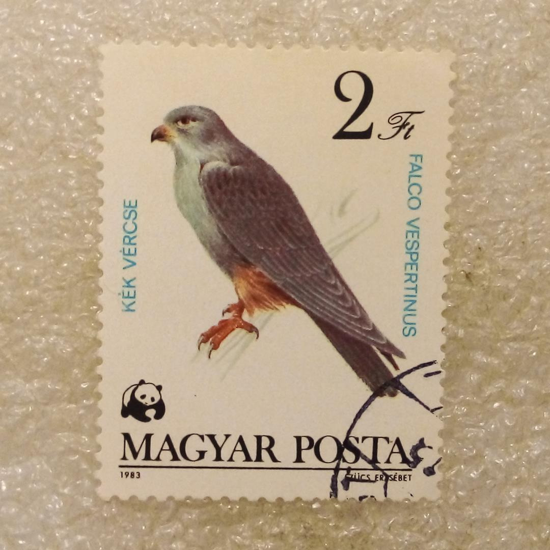 تمبر مجارستان 1983 پرنده گمرکی (99)0