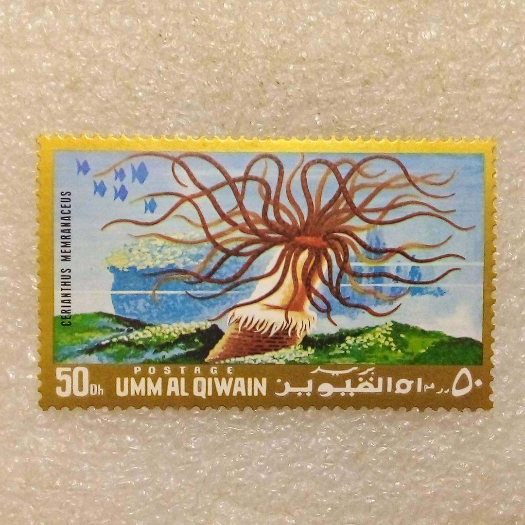 تمبر ام القیون1972 جانداران دریایی شقایق لوله(91)4
