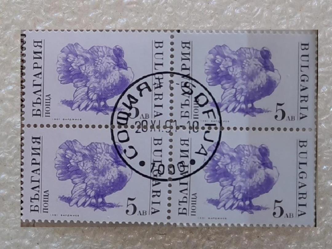 بلوک تمبر بلغارستان 1991 بوقلمون م گمرکی (38)
