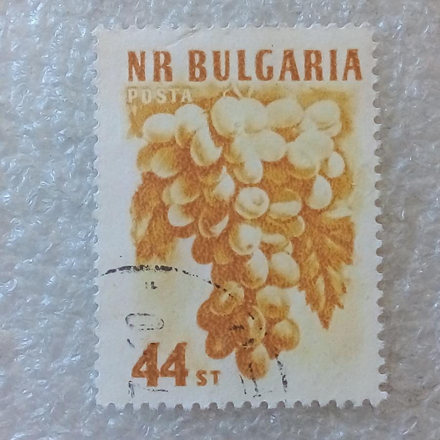 تمبر بلغارستان انگور گمرکی (89)1