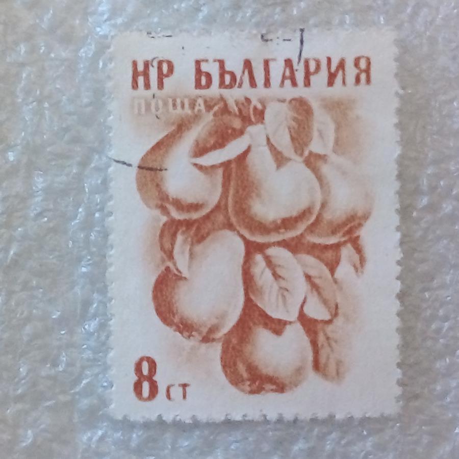 تمبر بلغارستان گلابی گمرکی (89)1