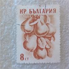 تمبر