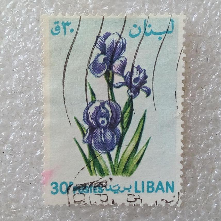 تمبر لبنان 1964 گل زنبق گمرکی (80)1