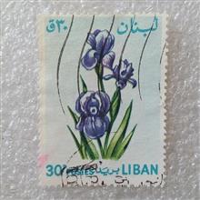 تمبر