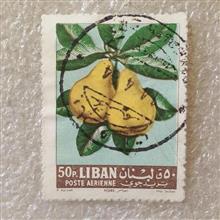 تمبر