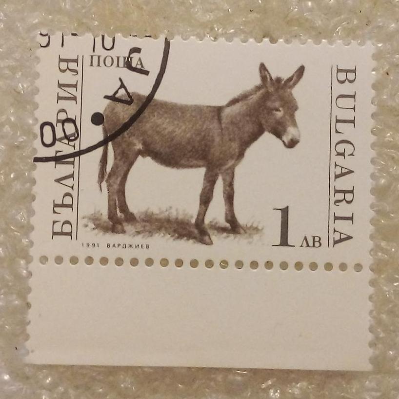 تمبر بلغارسان 1991 الاغ گمرکی (92)8