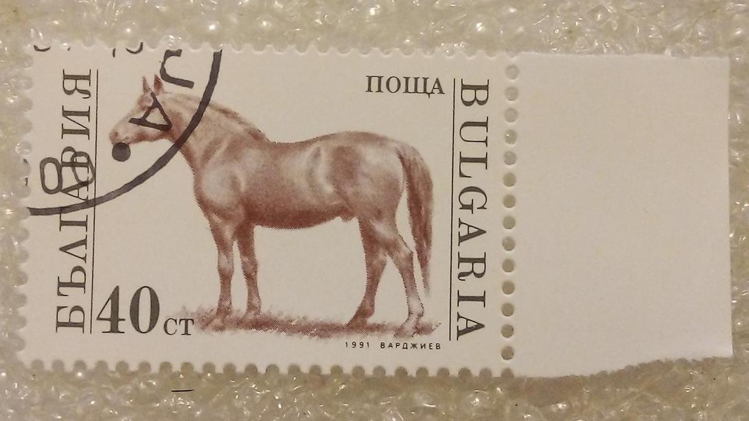 تمبر زیبای بلغارستان 1991 اسب گمرکی (92)8