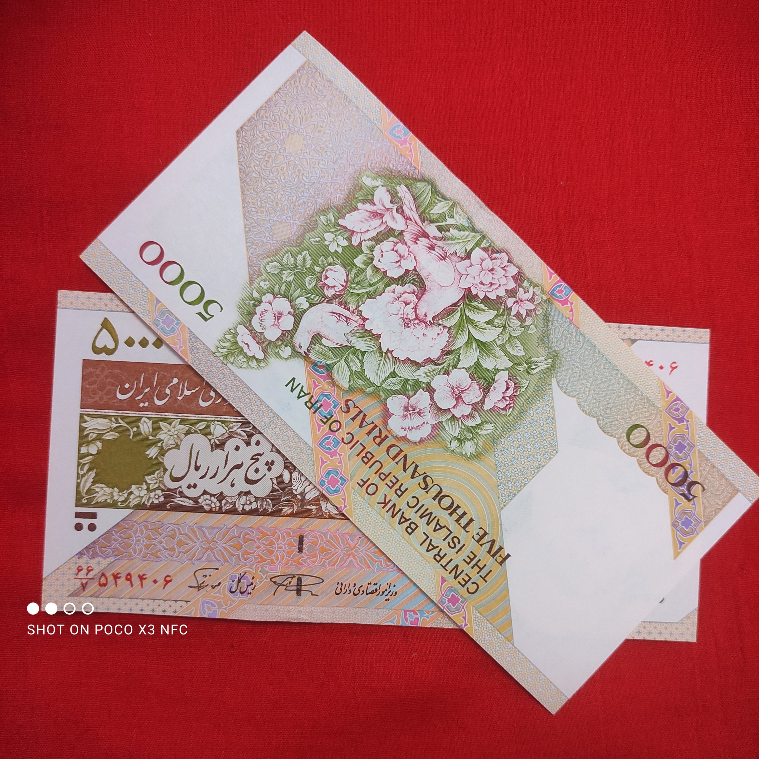 جفت اسکناس جایگزین نمازی نوربخش 500 گل بلبل