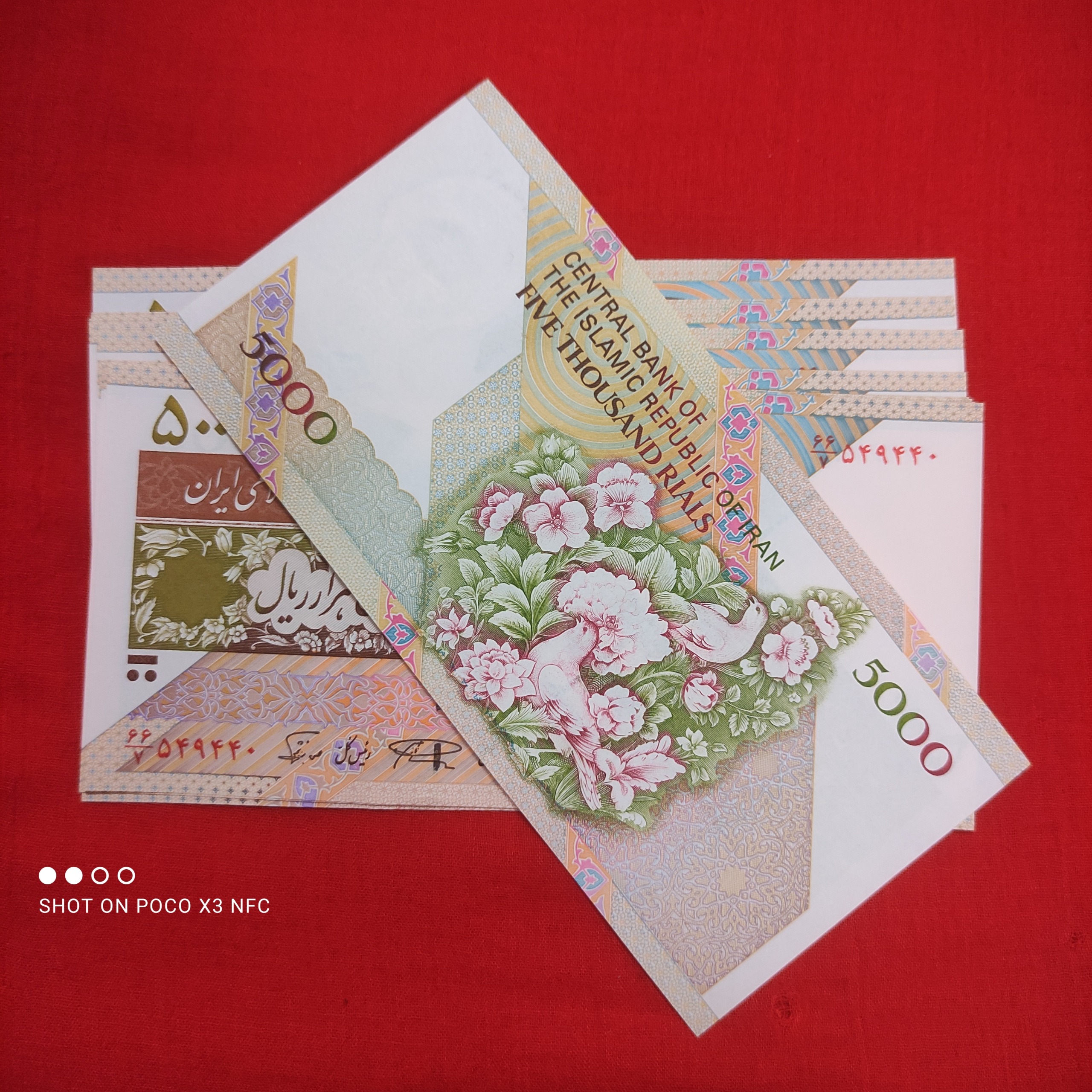 5 جفت 500 گل بلبل جایگزین نمازی نوربخش
