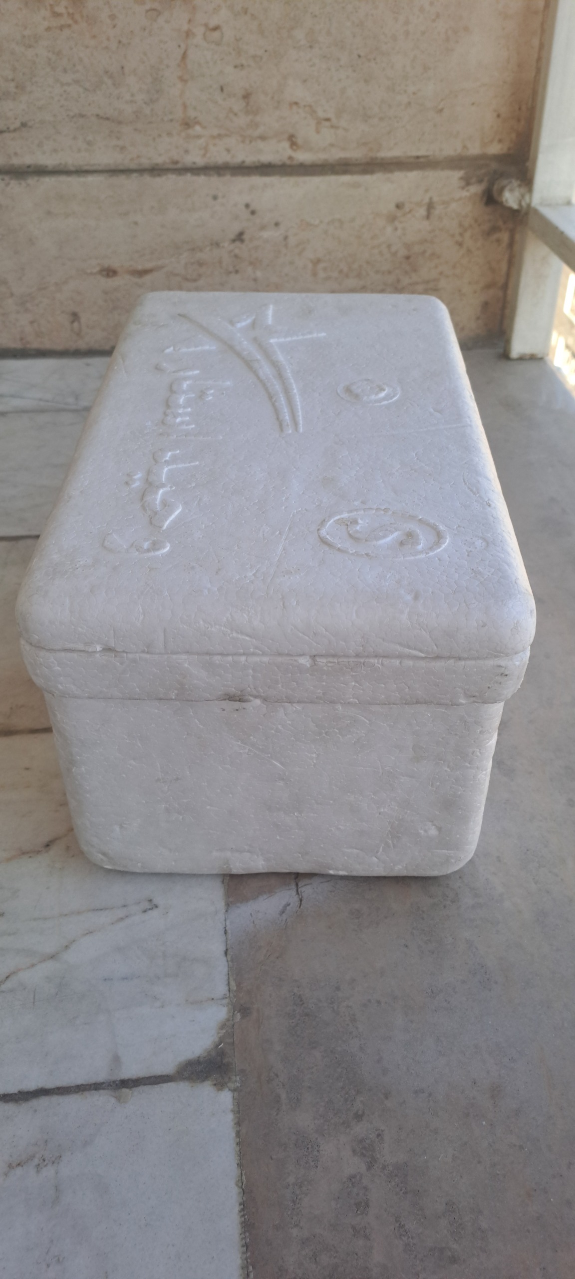 یخدان مناسب داخل خودرو 5 لیتری