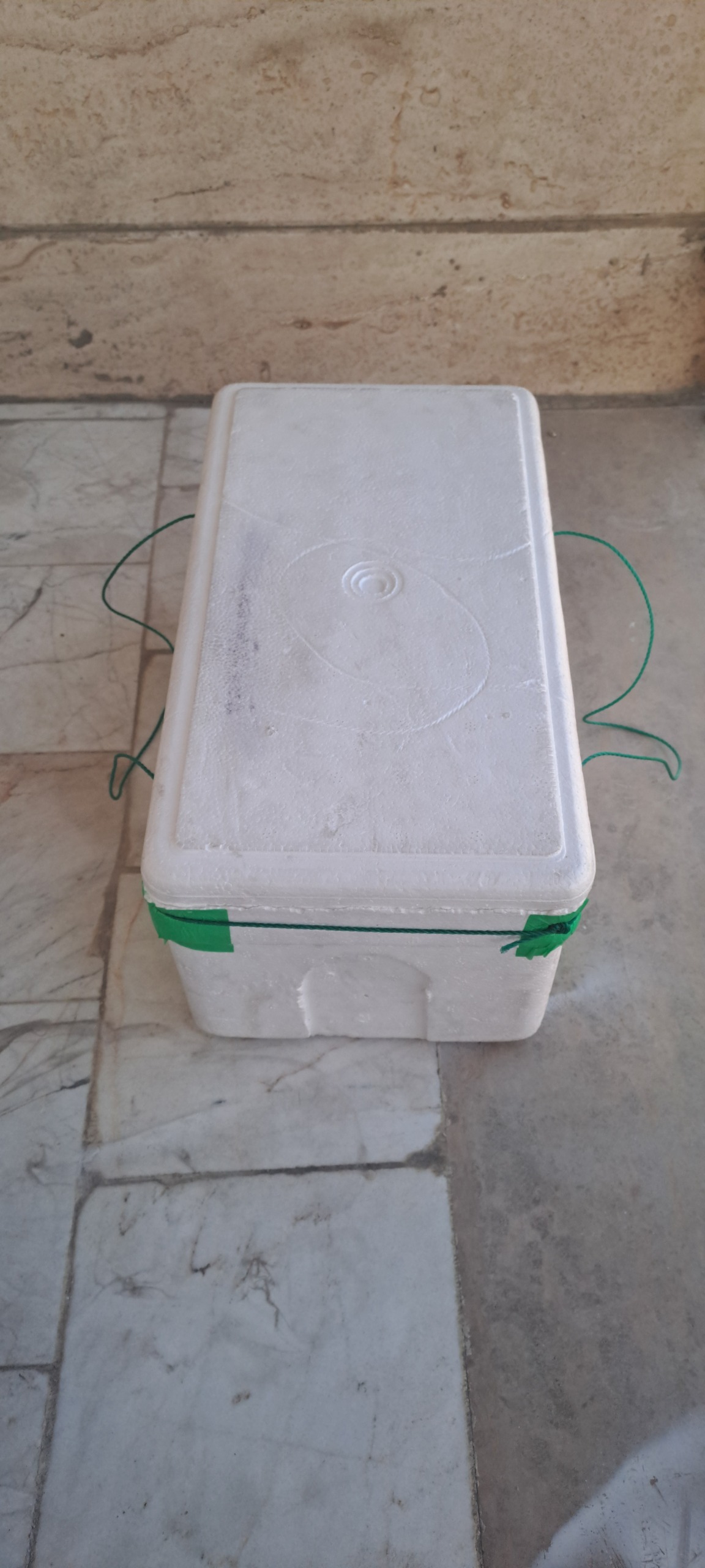 یخدان مناسب خودرو 9 لیتری