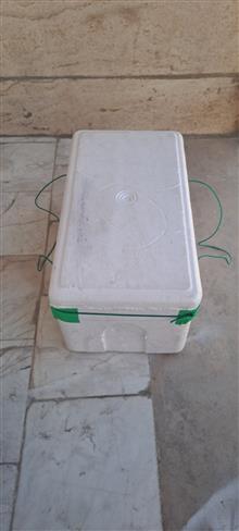یخدان