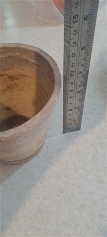 گلدان