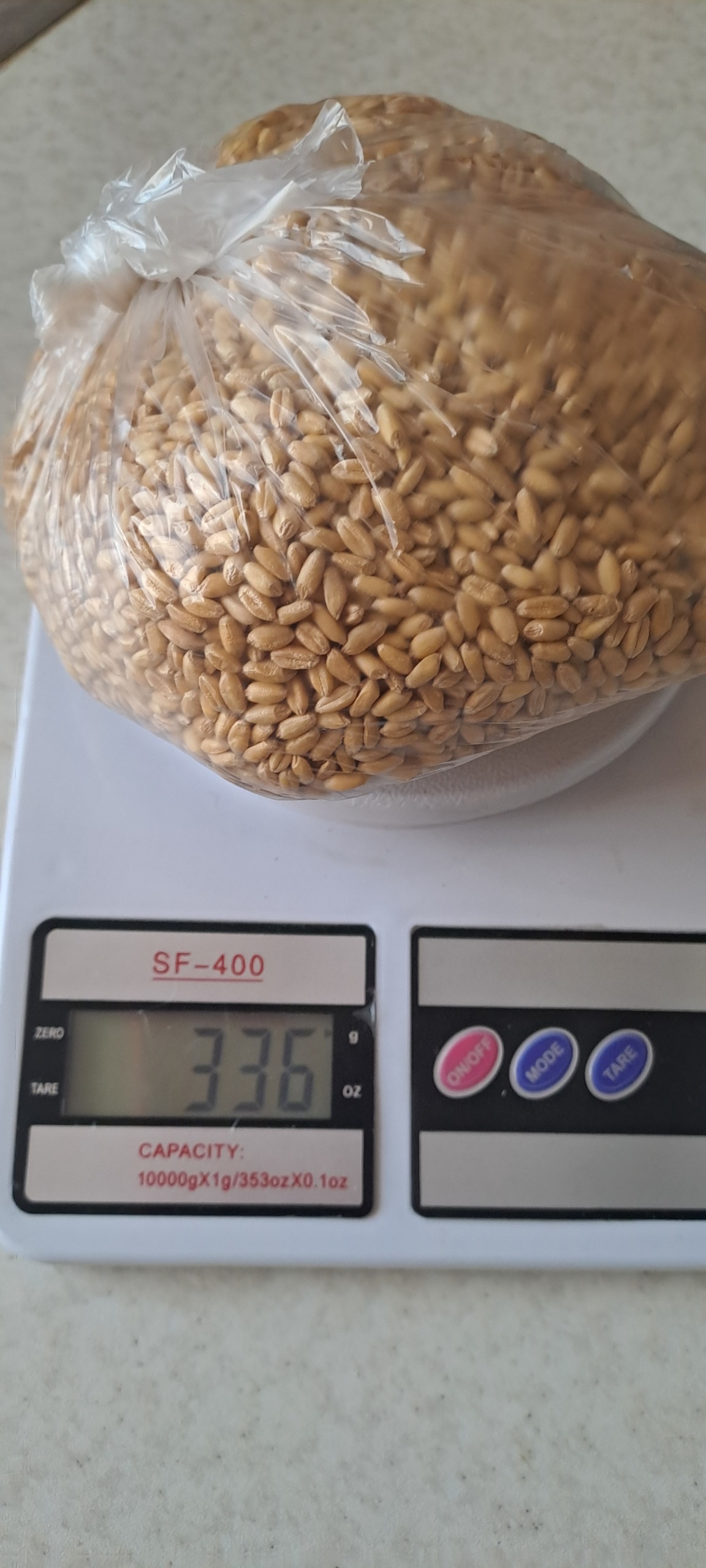 300 گرم گندم کامل