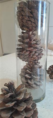 میوه