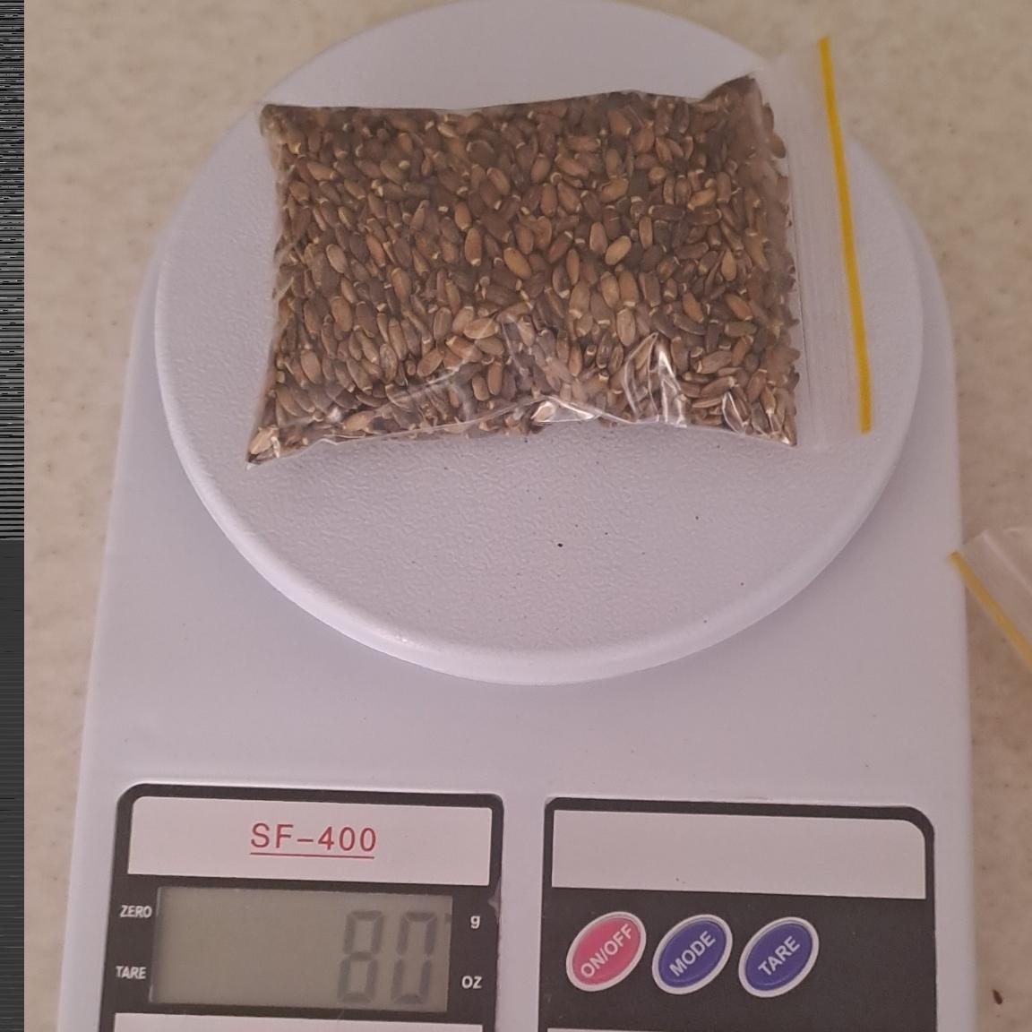 80 گرم دمنوش تخم گیاه خار مریم