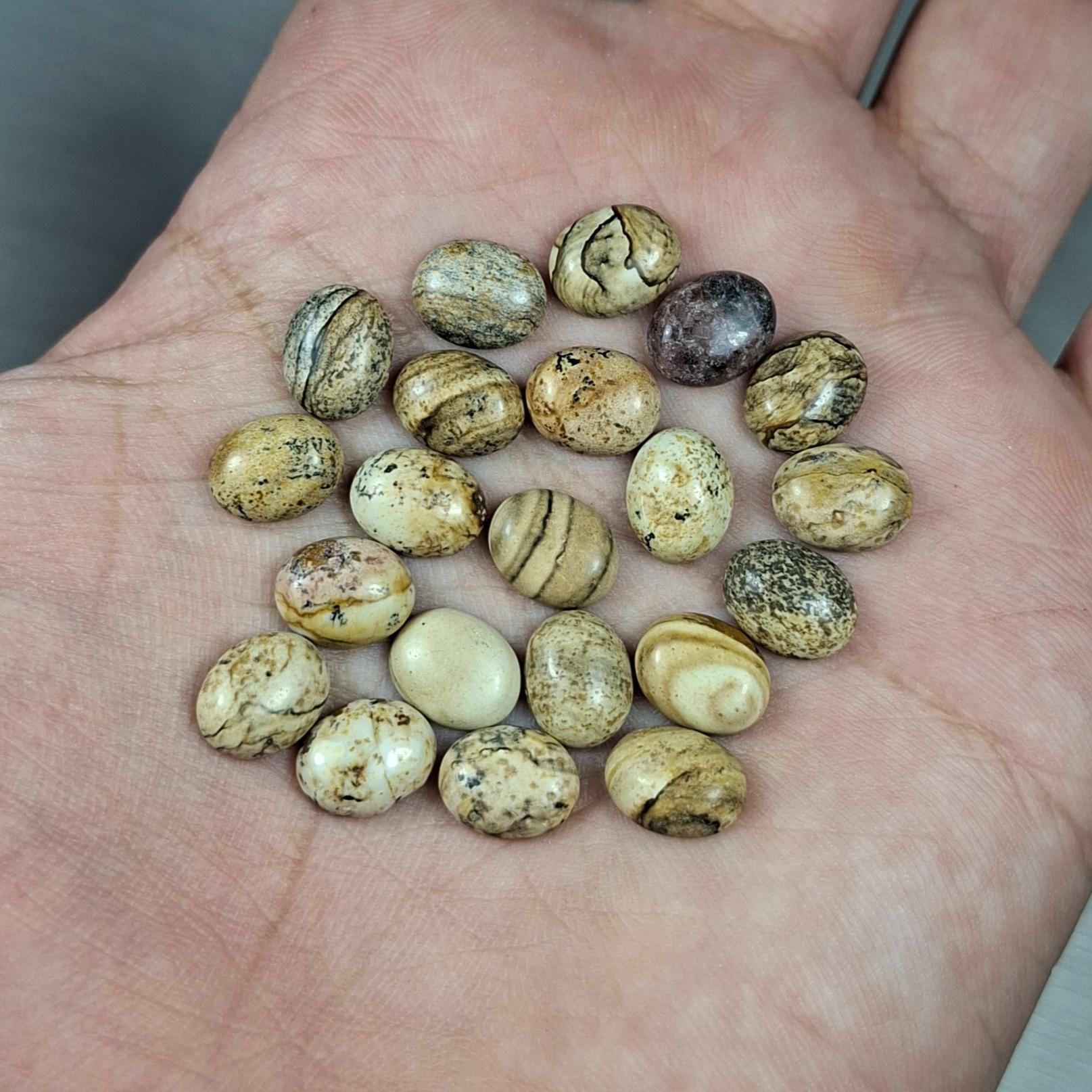 پک 20 تایی جاسپر منظره