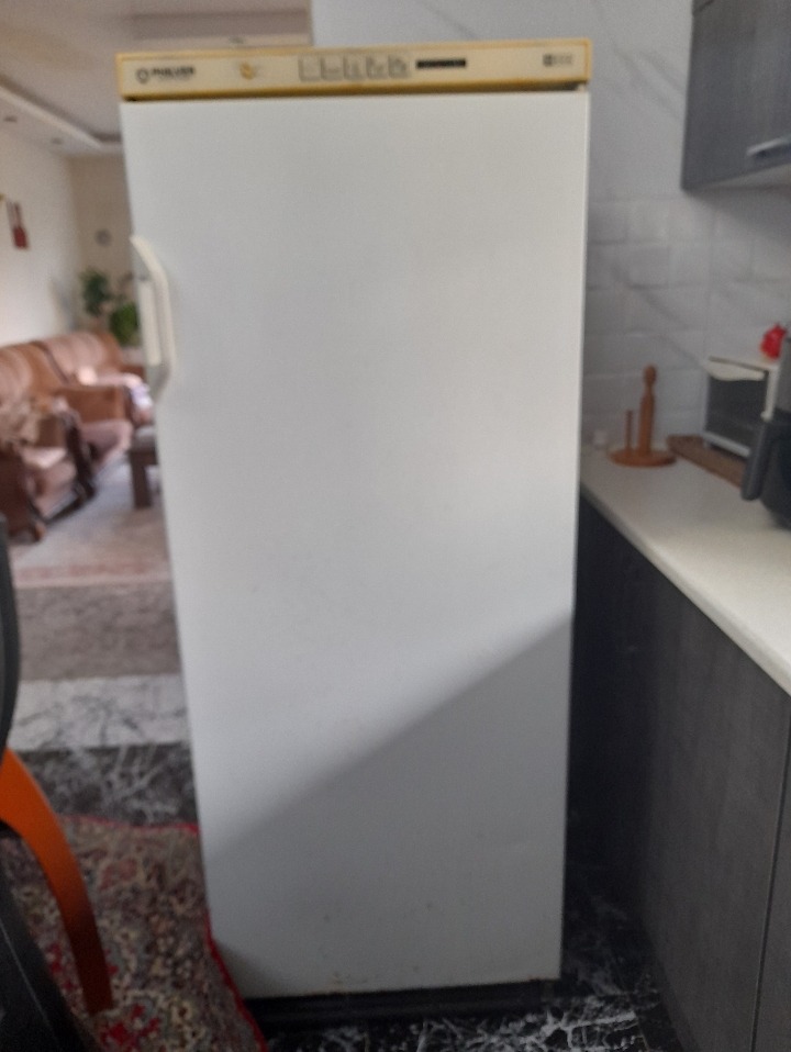 فریزر فیلور 5 طبقه 335 لیتری