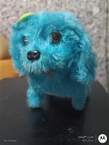 سگ