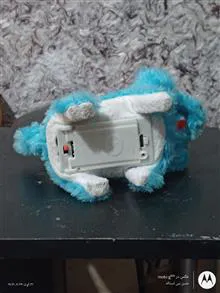 سگ