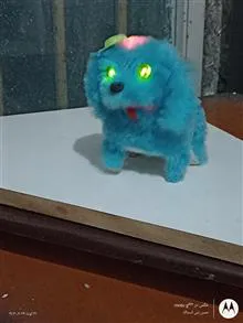 سگ