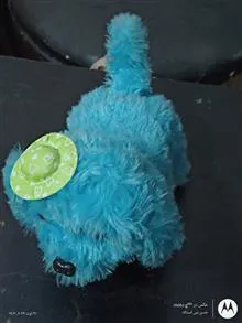 سگ