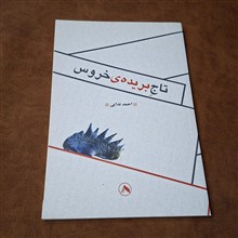 تارج