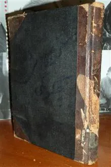کنجکاوی