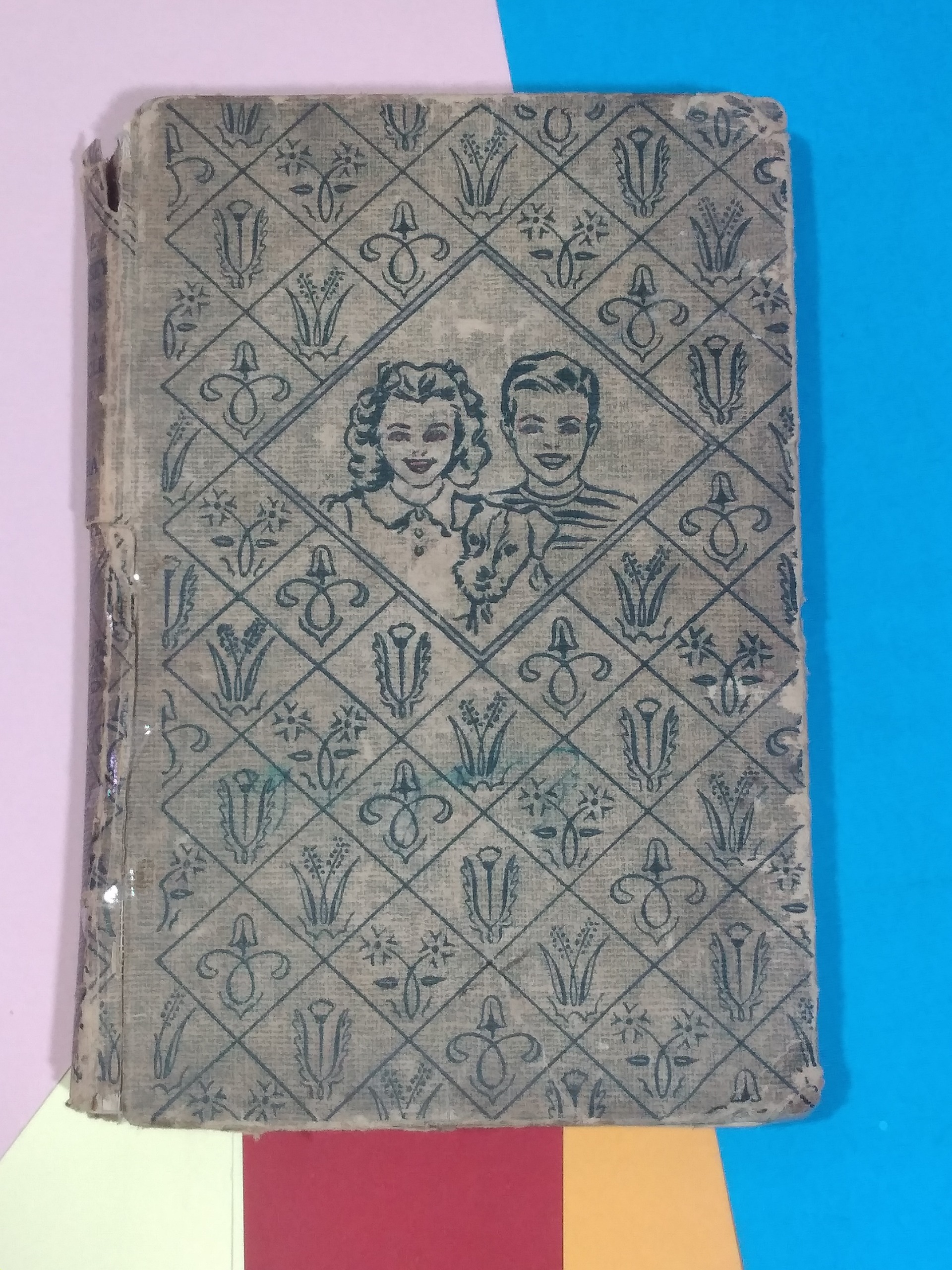 دوقلوهای بابی در یک سفر با دوچرخه Bobbsey Twins
