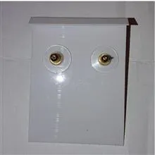گوشواره