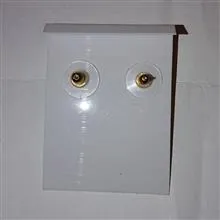گوشواره