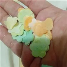 قوطی